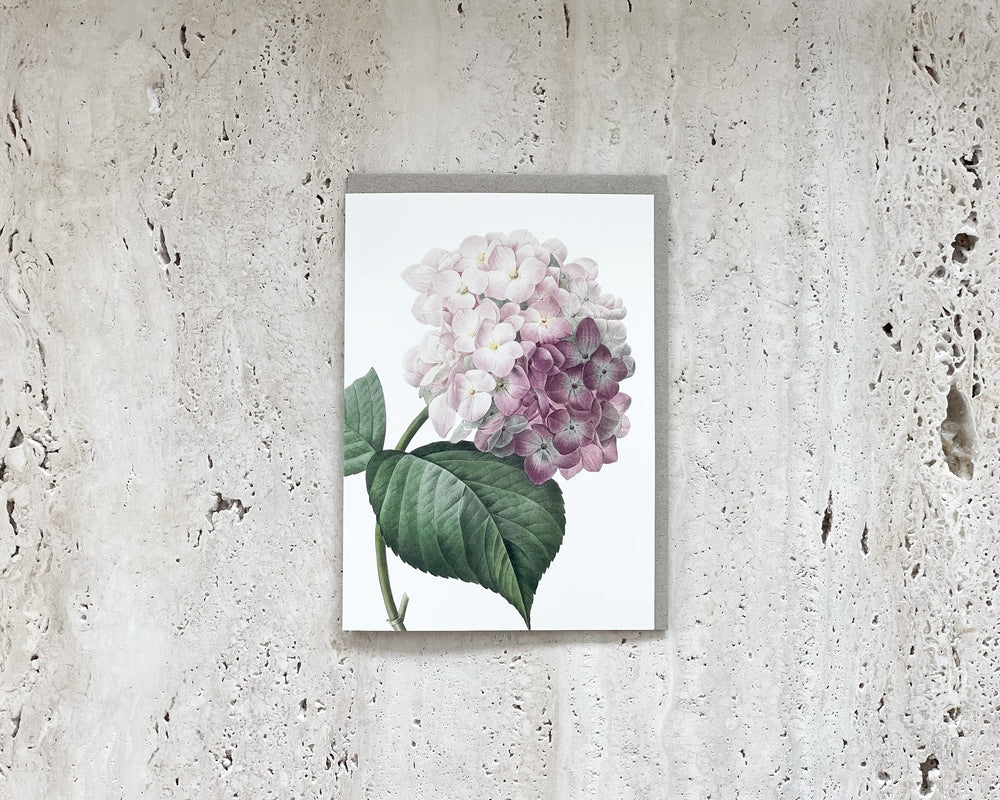 Blush Hydrangea Card