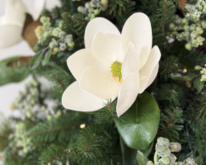 Magnolia Grandiflora Stem