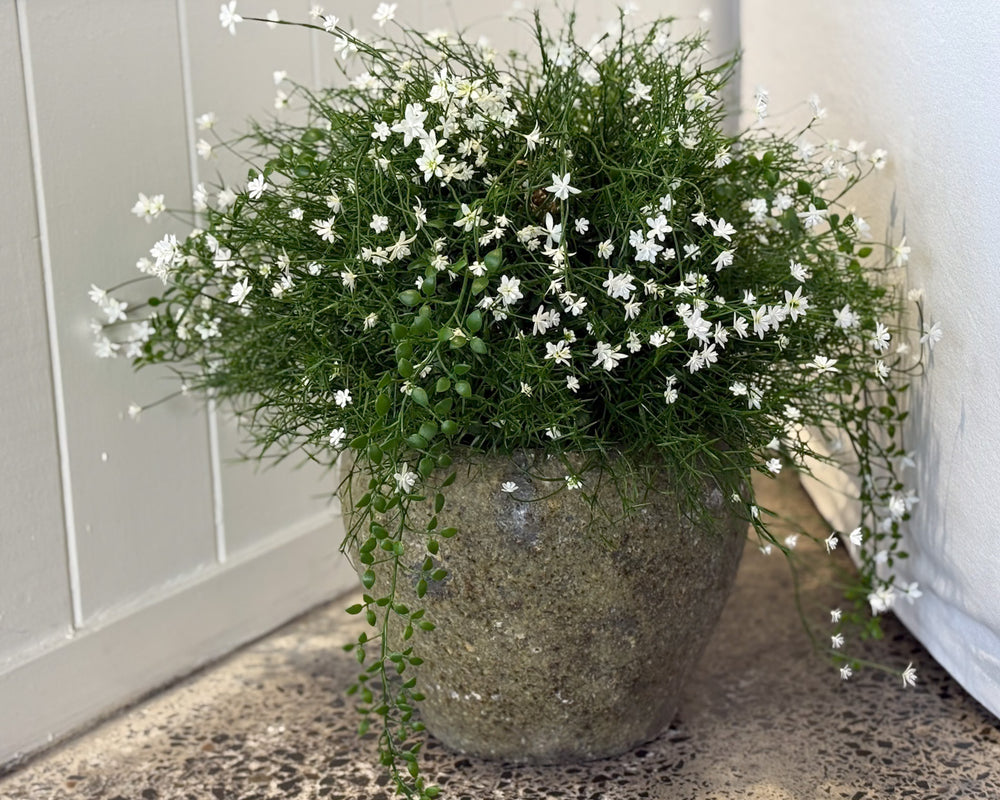 Babies Breath Foliage Ball