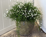 Babies Breath Foliage Ball