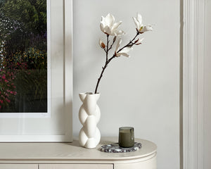 Japanese Magnolia Stem