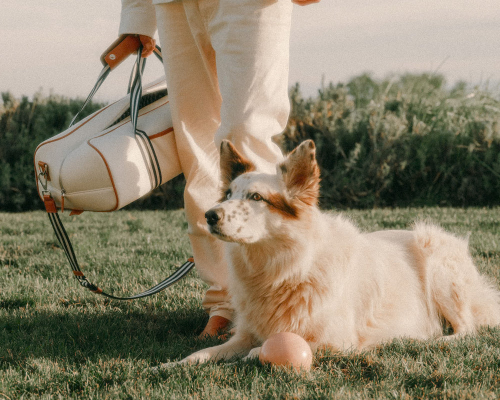 Business & Pleasure | Bocce Ball Set | Antique White