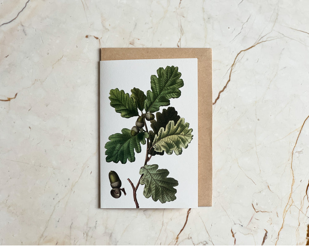 Acorns Card