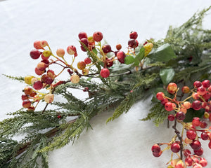 Red Berry Stem