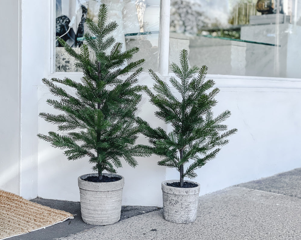 Faux Potted Pine Tree in Cement Pot