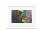 Karl Maughan | Forest Hill Small Art Print