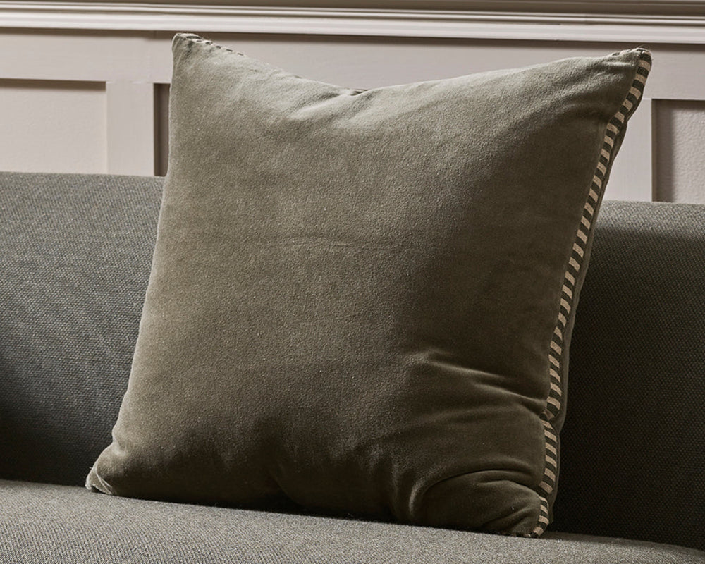 Edward Cushion | Thyme