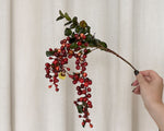 Hanging Red Berry Stem