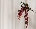 Hanging Red Berry Stem