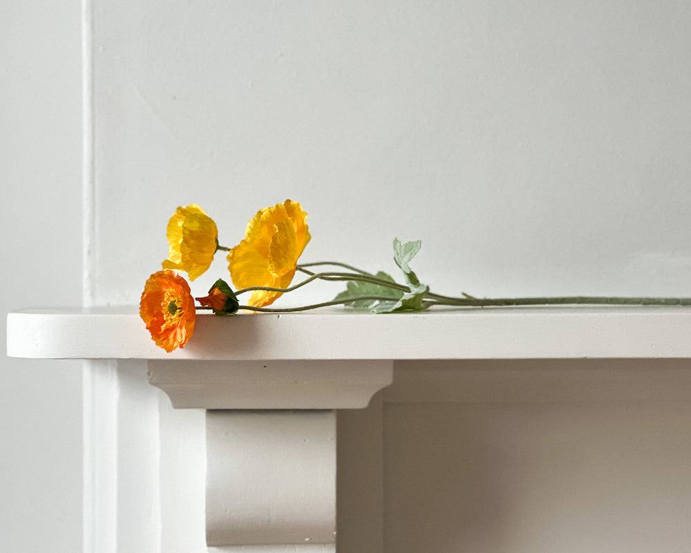 Icelandic Poppy Stem