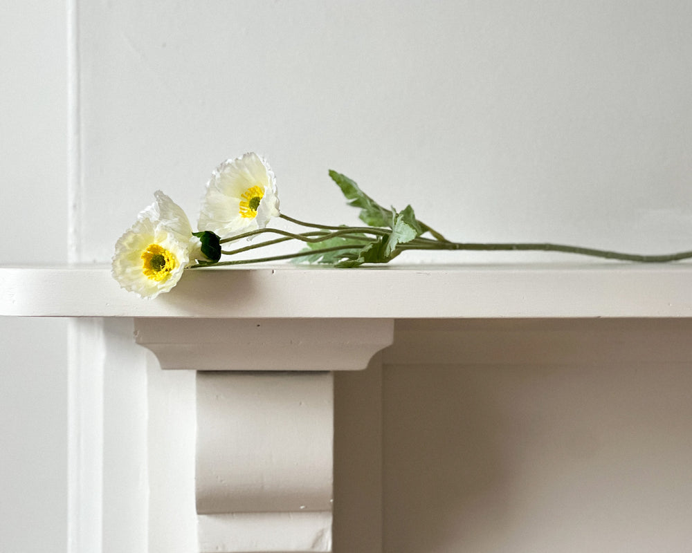 Icelandic Poppy Stem