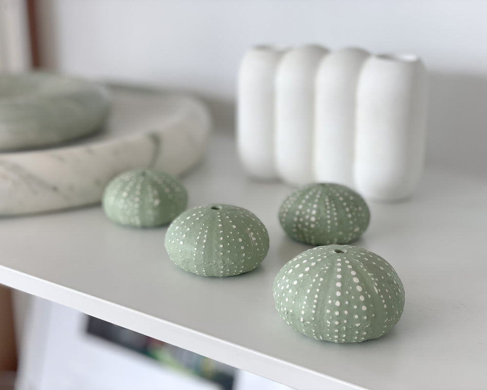 Lindsay Garmson | Handmade Ceramic Kina Shells