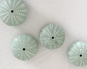 Lindsay Garmson | Handmade Ceramic Kina Shells