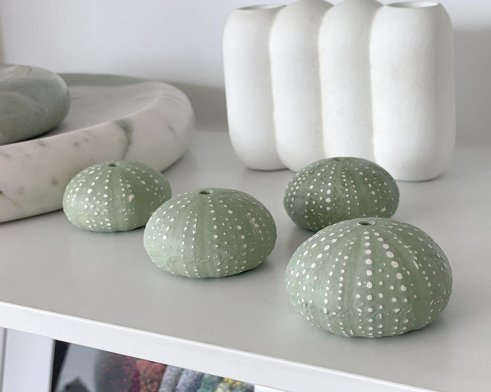 Lindsay Garmson | Handmade Ceramic Kina Shells