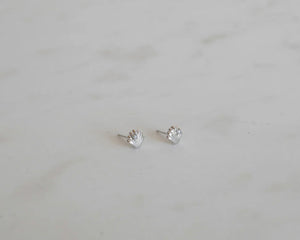 Sophie | She Shell Studs | Silver