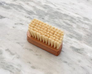 Sneaker Brush