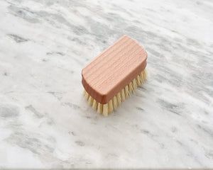 Sneaker Brush