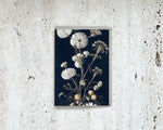 Wild Flower Card