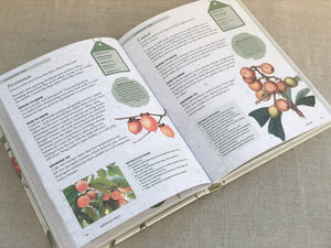 Kew Gardeners Guide To Growing Fruit