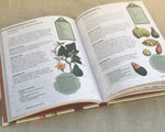 Kew Gardeners Guide To Growing Vegetables