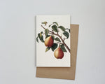 Vintage Pears Card