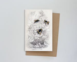 Vintage Bumble Bees Card