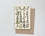 Vintage Botanical Flowers Card