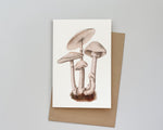 Vintage Mushrooms Card
