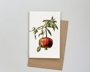 Vintage Pomegranate Card