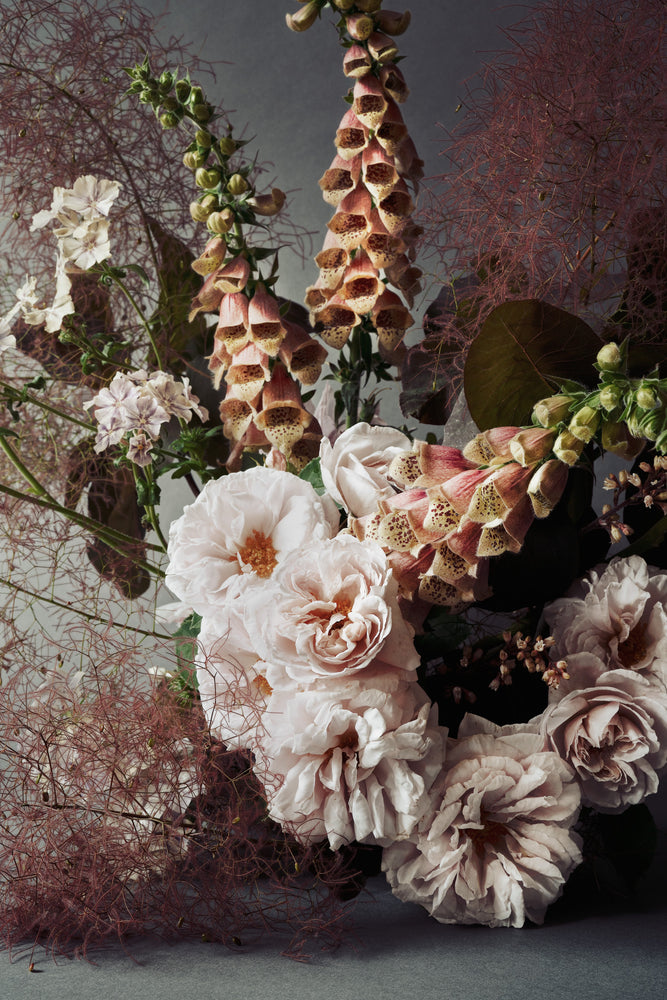 Digitalis | Photographic Print | Danelle Bohane + Leaf & Honey