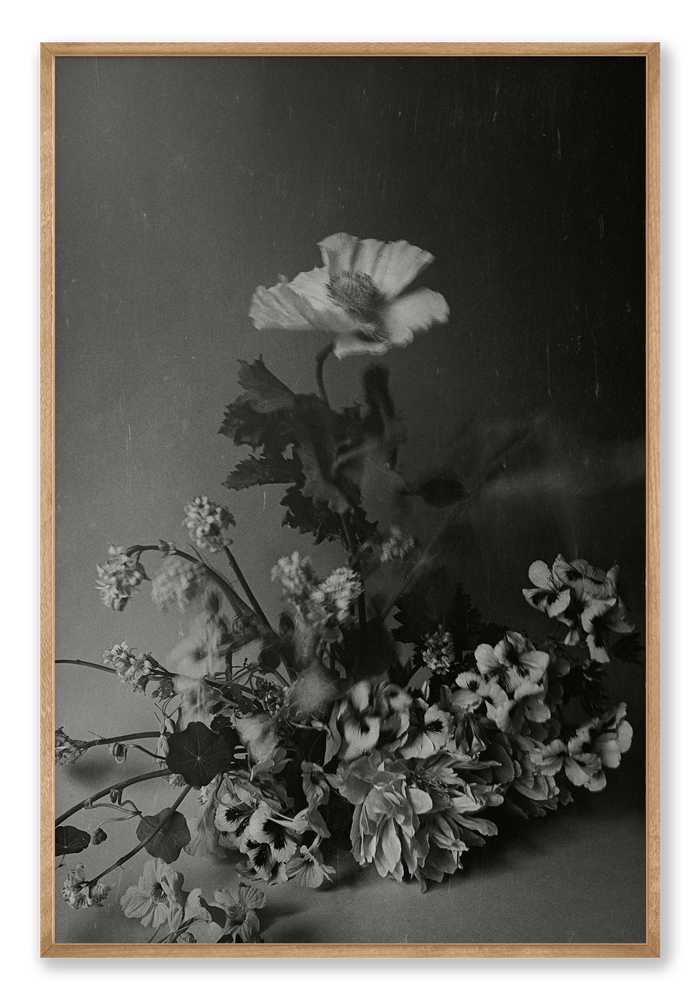Geranium | Photographic Print | Danelle Bohane + Leaf & Honey