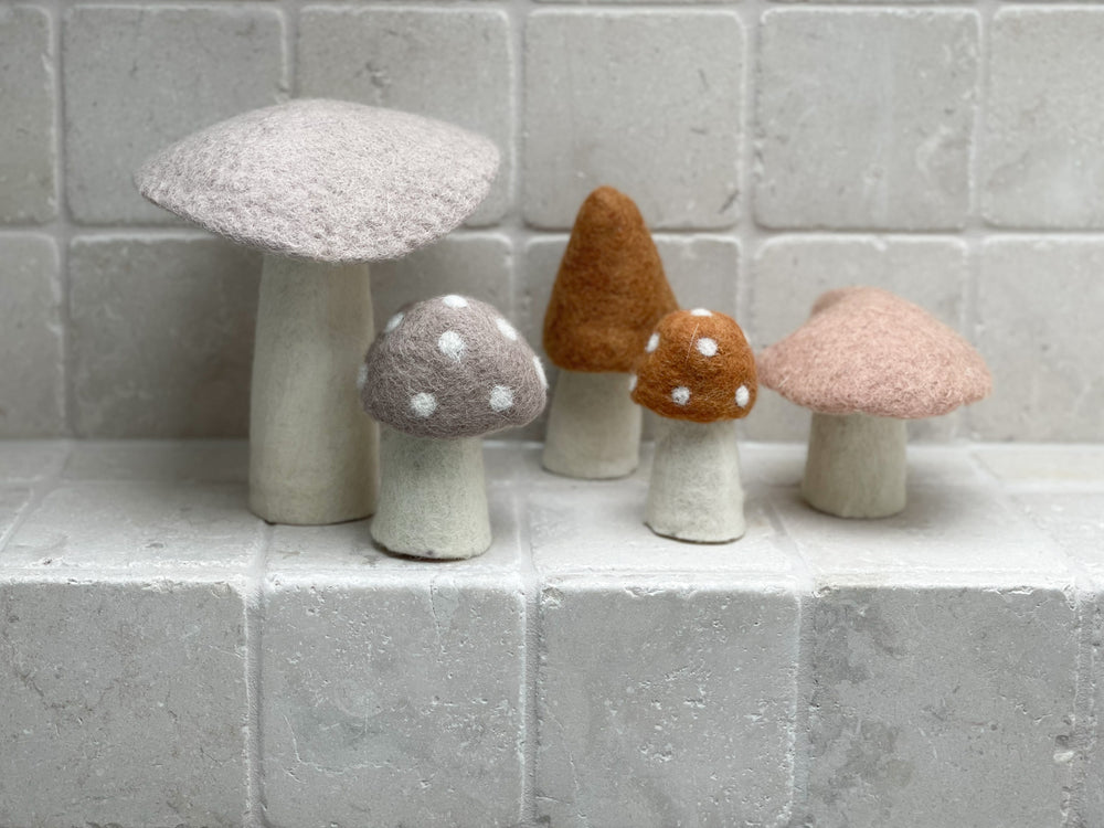 Muskhane Mushroom | Caramel Morel | 13cm