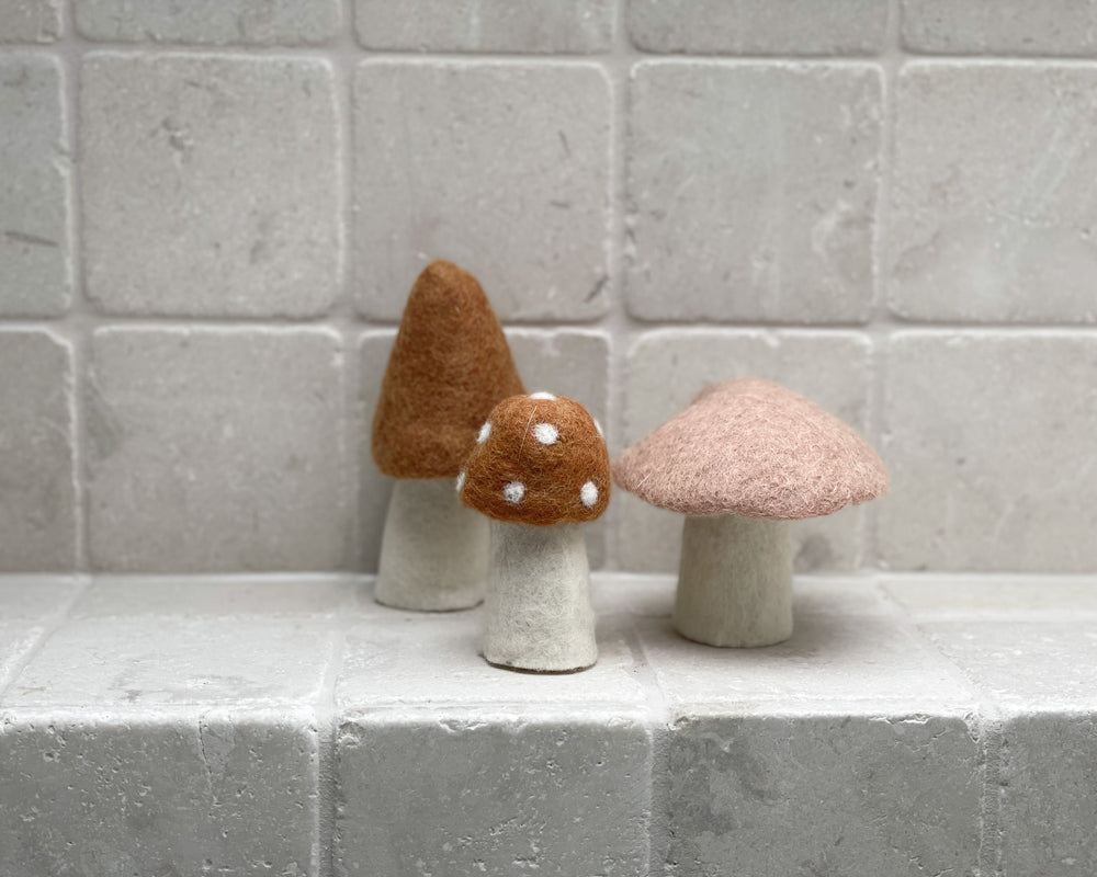 Muskhane Mushroom | Caramel Morel | 13cm