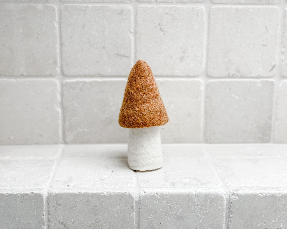 Muskhane Mushroom | Caramel Morel | 13cm