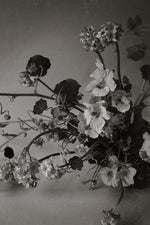 Nasturtium | Photographic Print | Danelle Bohane + Leaf & Honey
