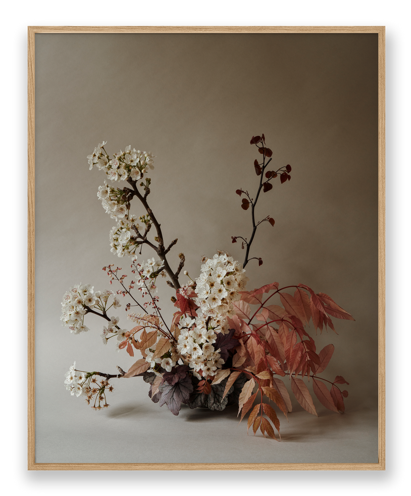 Lumiere | Photographic Print | Danelle Bohane + Leaf & Honey