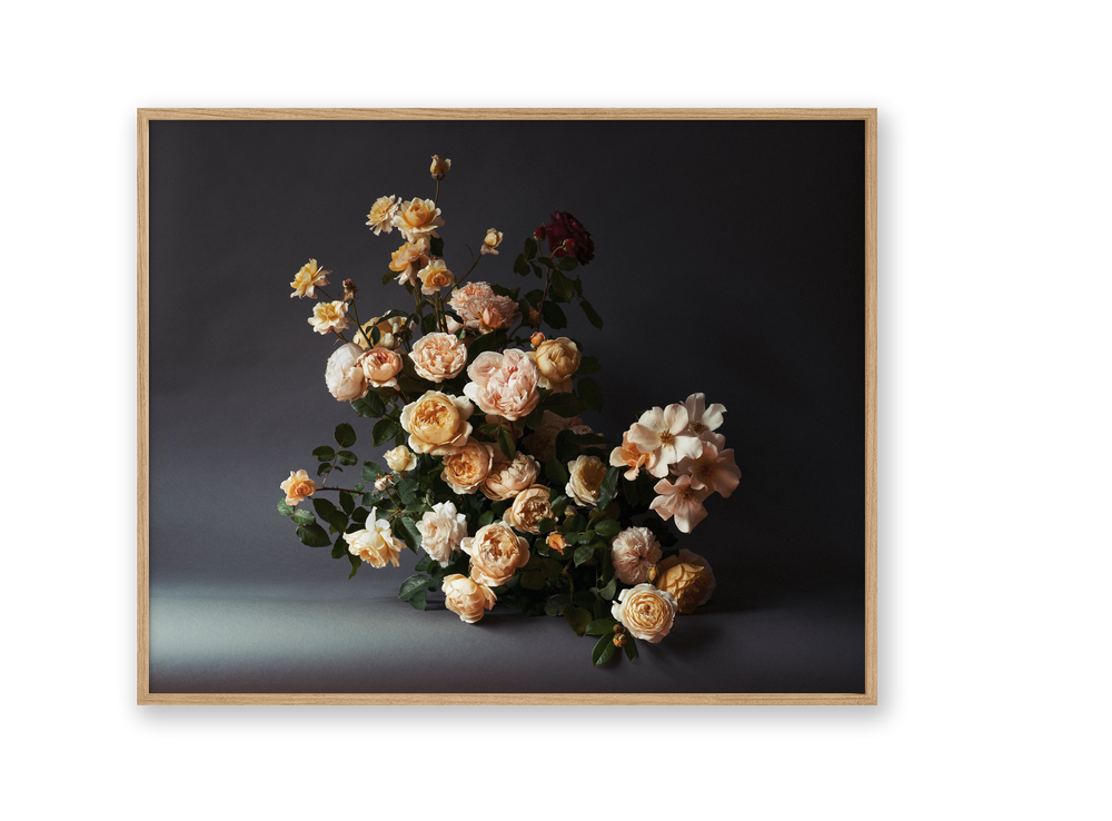 Rose | Photographic Print | Danelle Bohane + Leaf & Honey